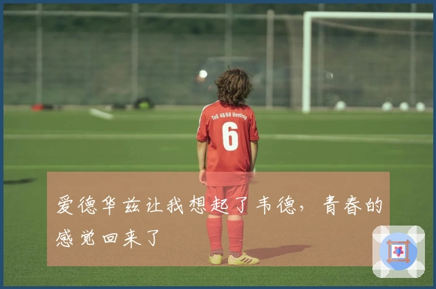 爱德华兹让我想起了韦德，青春的感觉回来了