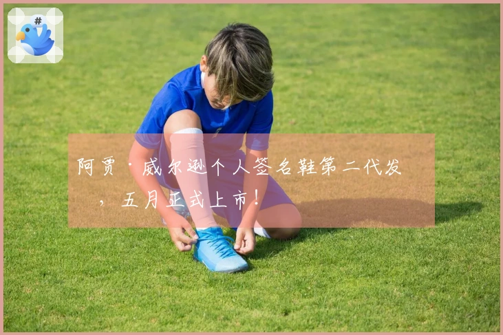 阿贾·威尔逊个人签名鞋第二代发布，五月正式上市！